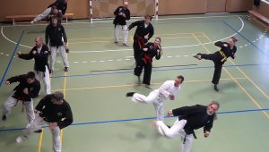 Hapkido-Moosburg, Selbstverteidigung, Kampfsport, Kampfkunst