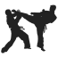 Hapkido Moosburg, Kampfsport, Kampfkunst, Selbstverteidigung